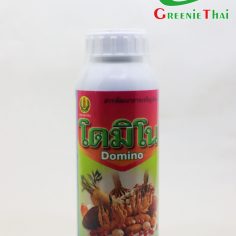 โดมิโน 500 ซีซี