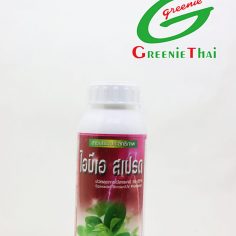 ไอบีเอ สเปรด 500 ซีซี