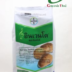อินเวนโต  1 กิโลกรัม