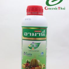 อามานี่  1 ลิตร