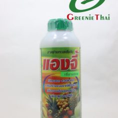 แองจี้ สาหร่ายทะเลเข้มข้น  1 ลิตร