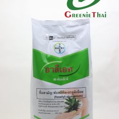 อาลีเอท 1 กิโลกรัม