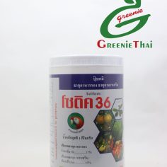 โซติค 36  1 กิโลกรัม