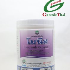 โมนีส 1 กิโลกรัม