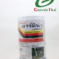 ลาร์มิน่า 1 กิโลกรัม