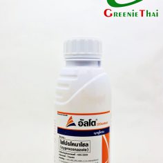 อัลโต 500ซีซี