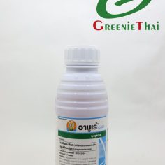 อามูเร่   500 ซีซี