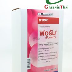 ฟอรัม 500 กรัม