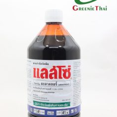 แลสโซ่ 1 ลิตร