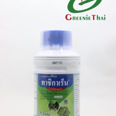 ทาชิกาเร็น 500 ซีซี