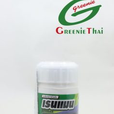 เรนแมน  100 ซีซี