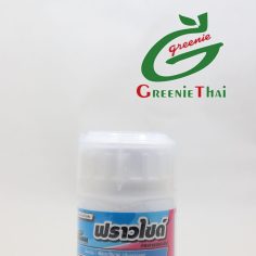 ฟราวไซด์   100ซีซี