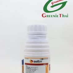 ออติวา 500 ซีซี