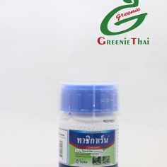 ทาชิกาเร็น  100 ซีซี