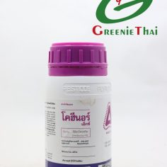 โคฮีนอร์ เอ็กซ์  250 ซีซี