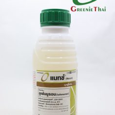 แมทซ์ 050 อีซี  250ซีซี