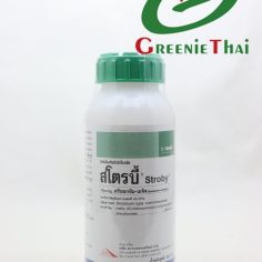 สโตรบี้ 100กรัม