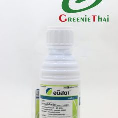 อมิสตา  100ซีซี
