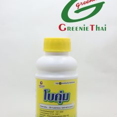 โบคุ่ม 500 ซีซี