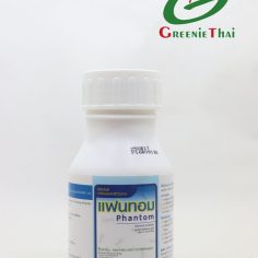 แฟนทอม 250 ซีซี