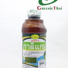 กาลิแกน 1 ลิตร