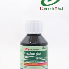 กาลแล็นท์ ซุปเปอร์  100 ซีซี
