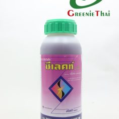 ซีเลคท์ 500 กรัม