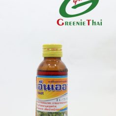 เอ็นเออาร์  100 ซีซี