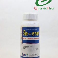 โค-ราซ 500 ซีซี