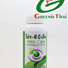โปรซีบีเอ็น  500ซีซี