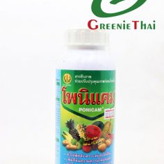 โพนิแคม 500 ซีซี