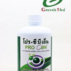 โปรซีบีเอ็น 1 ลิตร