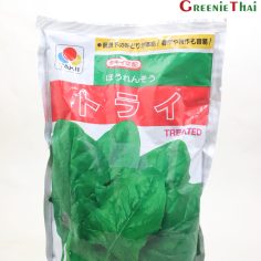 เมล็ดปวยเล้ง ปอบอาย 450 กรัม