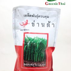 เมล็ดผักบุ้งจีน ตราตุ๊กแก 1 กิโลกรัม