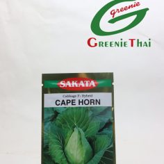 เมล็ดกะหล่ำปลีหัวใจ CAPE HORN