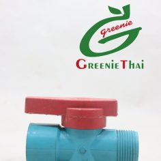วาล์ว PE6 หุน สีแดง