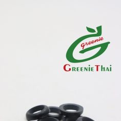 ยางหลังเต่า