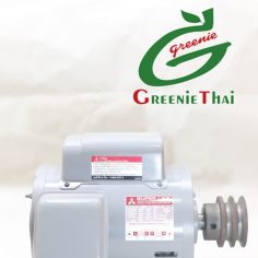 มอเตอร์ 1.5 HP 220V มิตซู