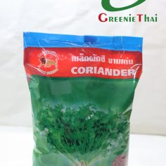 เมล็ดผักซีงามเด่น  ตราสิงโต 500 กรัม