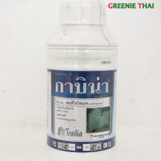 กาบิน่า 500 ซีซี