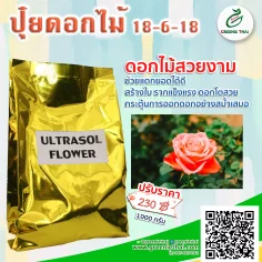 ปุ๋ย ULTRASOL FLOWER 18-6-18  1 กิโลกรัม