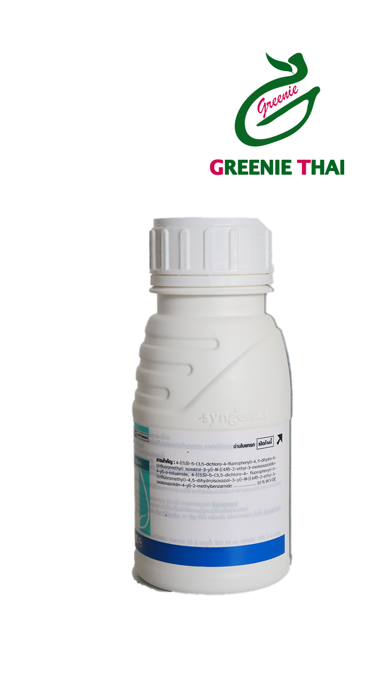 ซีโมดิส250 ซีซี.pngหลัง