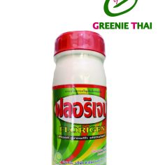 ฟลอริเจน 500 ซีซี