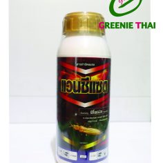 แวนซีแซด 500 ซีซี
