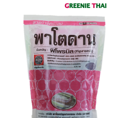 พาโตดาน