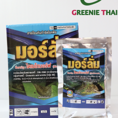 มอร์ลั่ม 100 กรัม
