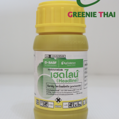 เฮดไลน์  250ซีซี