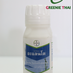 อะแลนโต  100 ซีซี