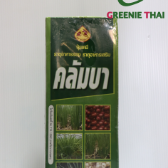 คลัมบา (กอใหญ่)  1 ลิตร