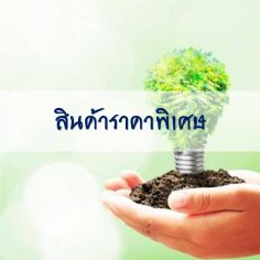 สินค้าราคาพิเศษ
